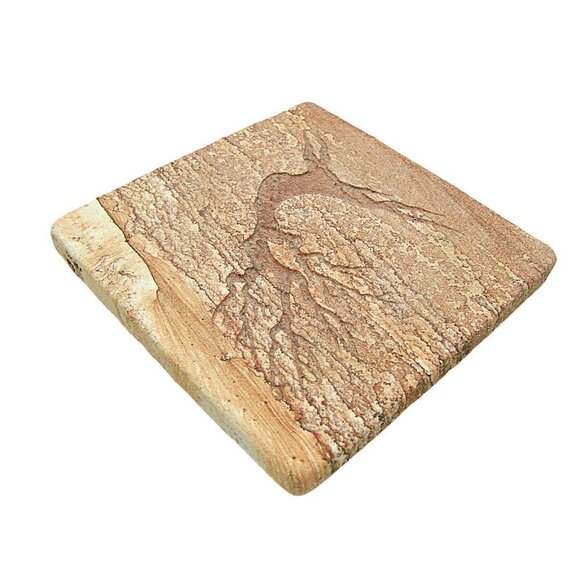 Set Of 4 Ornate Sandstone Tile Cork Back Coasters Wildlife Wooden Stand Pottery - Picture 4 of 8